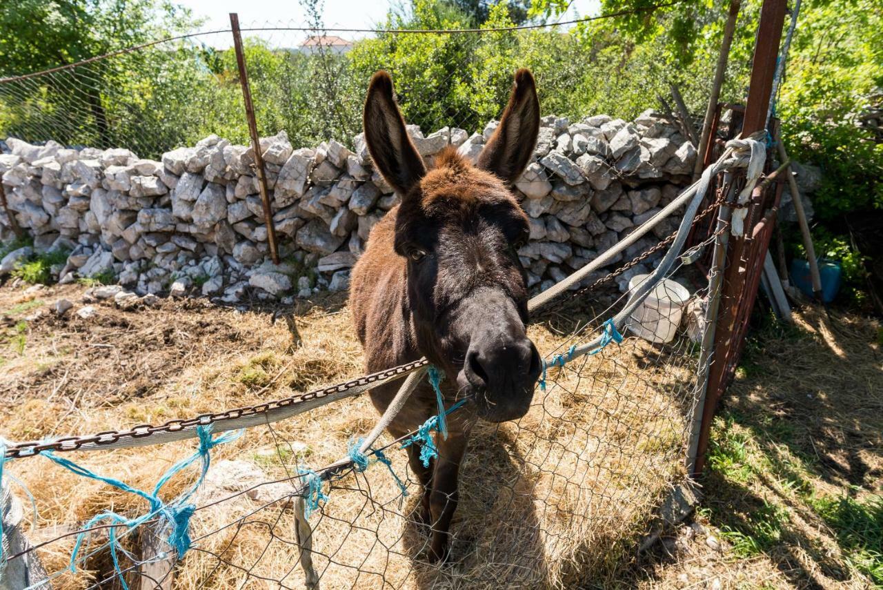 Authentic Camping Dalmatia Pirovac Zewnętrze zdjęcie