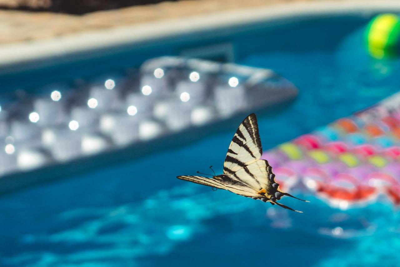 Authentic Camping Dalmatia Pirovac Zewnętrze zdjęcie